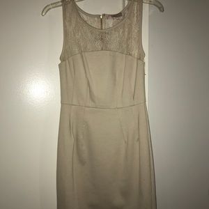 Lace beige dress